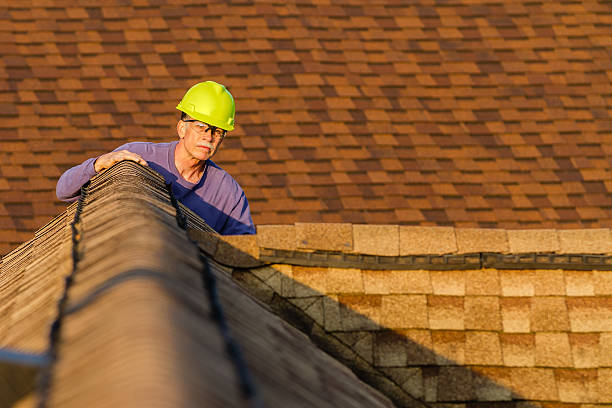 Roof Gutter Cleaning in Combee Settlement, FL
