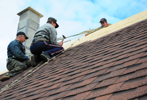 Best Roof Gutter Cleaning  in Combee Settlement, FL